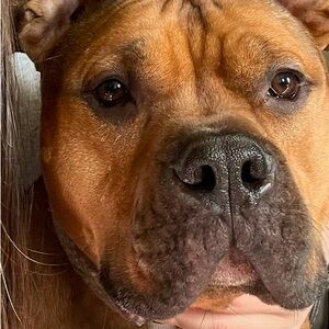 Meet your Posher, Teresa